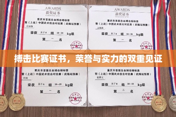 搏击比赛证书,荣誉与实力的双重见证