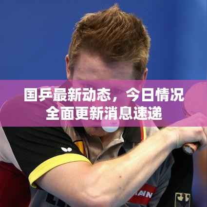 国乒最新动态,今日情况全面更新消息速递