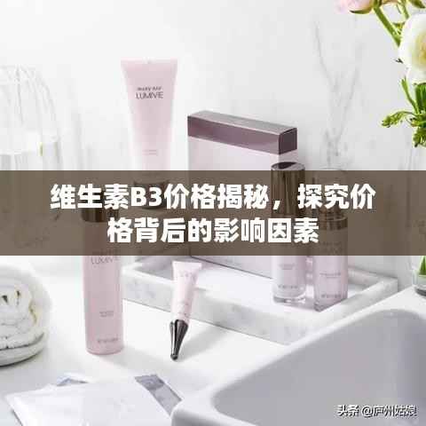维生素B3价格揭秘,探究价格背后的影响因素