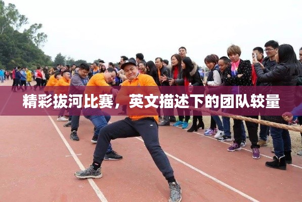 精彩拔河比赛,英文描述下的团队较量