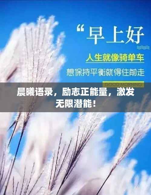 晨曦语录，励志正能量，激发无限潜能！