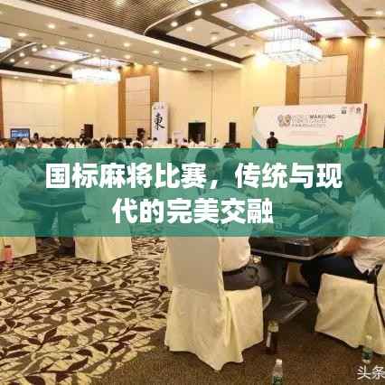 国标麻将比赛,传统与现代的完美交融