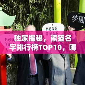 独家揭秘,熊猫名字排行榜TOP10,哪些名字最受欢迎?