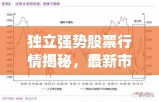 独立强势股票行情揭秘,最新市场动向深度解读