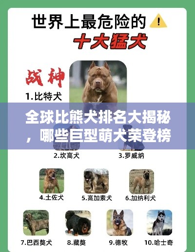 全球比熊犬排名大揭秘,哪些巨型萌犬荣登榜首?