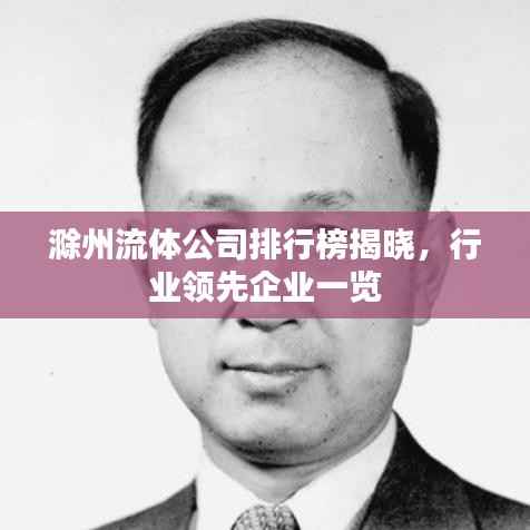 滁州流体公司排行榜揭晓,行业领先企业一览