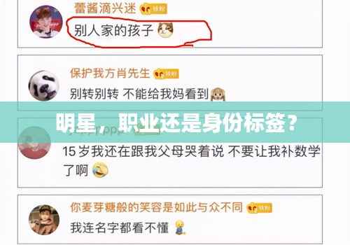 明星，职业还是身份标签？
