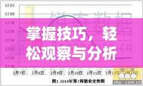 掌握技巧,轻松观察与分析当地生猪价格行情!