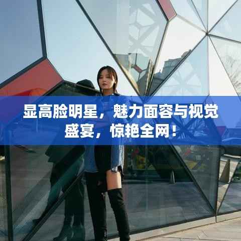显高脸明星,魅力面容与视觉盛宴,惊艳全网!