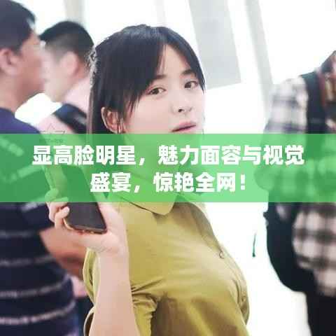 显高脸明星,魅力面容与视觉盛宴,惊艳全网!