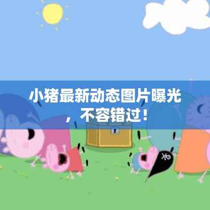 小猪最新动态图片曝光,不容错过!