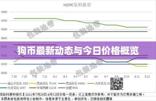 狗币最新动态与今日价格概览