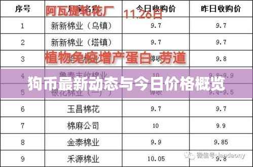狗币最新动态与今日价格概览