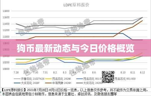 狗币最新动态与今日价格概览