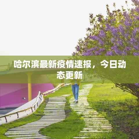 哈尔滨最新疫情速报,今日动态更新