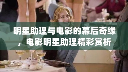 明星助理与电影的幕后奇缘,电影明星助理精彩赏析