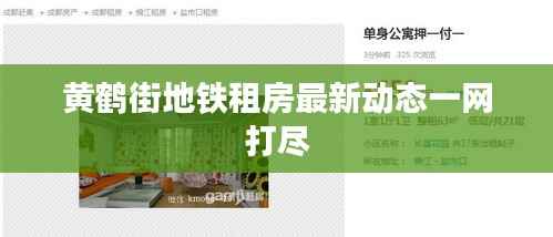 黄鹤街地铁租房最新动态一网打尽