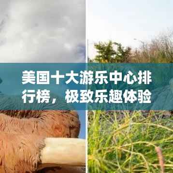美国十大游乐中心排行榜,极致乐趣体验盘点