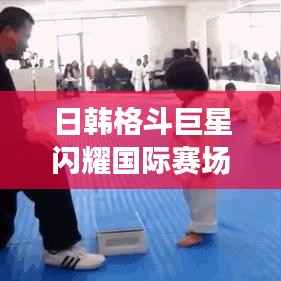 日韩格斗巨星闪耀国际赛场,璀璨光芒引领全球瞩目