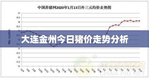 大连金州今日猪价走势分析