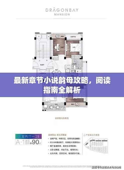 最新章节小说韵母攻略,阅读指南全解析