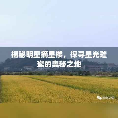 揭秘明星摘星楼,探寻星光璀璨的奥秘之地
