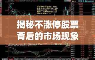 揭秘不涨停股票背后的市场现象与深层原因解析